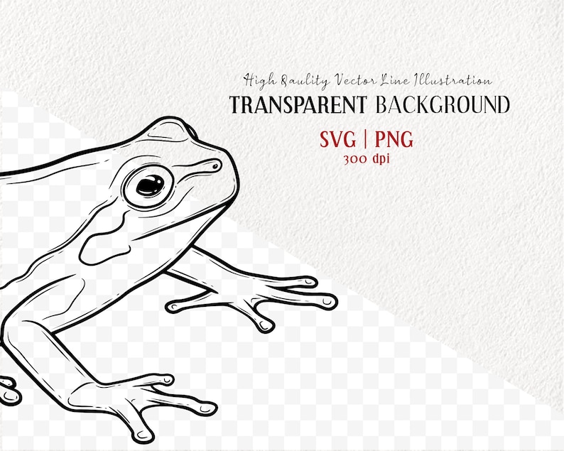 Tree Frog SVG Clipart. Frog Vector Drawing. Green, White and Red-Eyed Tree Frog. Reptile Outline Graphics. Commercial PNG & SVG image 2