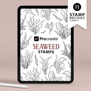 13 Sellos de algas procreadas. Diseño de tatuaje de planta oceánica. Pinceles de arte submarino. Conjunto de contorno de hojas de agua. Sellos de dibujo Procreate para iPad