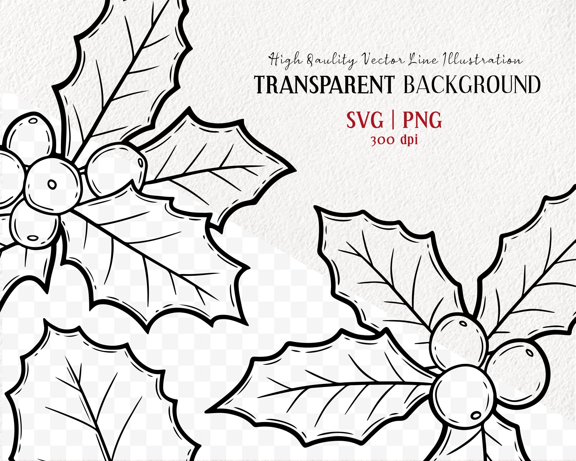 Christmas Holly Clipart Set. Mistletoe Vector Leaves. Xmas Line