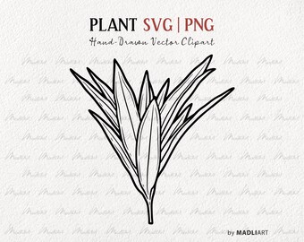 Leafy Plant SVG Clipart. Vector House Plant Line Drawing. Potted Plant Outline Illustration. Minimal Plant Art. PNG & SVG Art