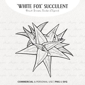 Imágenes prediseñadas SVG suculentas de Aloe White Fox. Ilustraciones vectoriales de plantas del desierto. Esquema de cactus. Dibujo lineal botánico. Uso comercial SVG y PNG