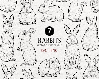 Rabbit SVG Bundle. Rabbit Vector Line Art. Easter Bunny svg. Cute Bunny Clipart Stamps. Easter Rabbit Outline Drawings. SVG & PNG