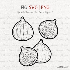 May include: Black and white line art illustration of three figs. The figs are drawn in a realistic style, with detailed wrinkles and textures. The image is labelled "FIG SVG | PNG Hand-Drawn Vector Clipart by MADLIART".