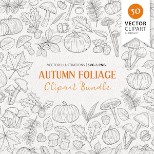 Herbstlaub SVG Clipart Bundle. 50 Vektor Herbst Pflanzen. Pilze Kürbisse Eiche Ahorn Birke, Kastanie Willow Rowan Leaf Line Art. PNG & SVG