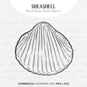 Seashell SVG Clipart. Ocean Themed Vector Line Drawing. Nautical Ocean Clam Shell. Beach Sea Shell Art Stamp. Digital Download SVG, PNG
