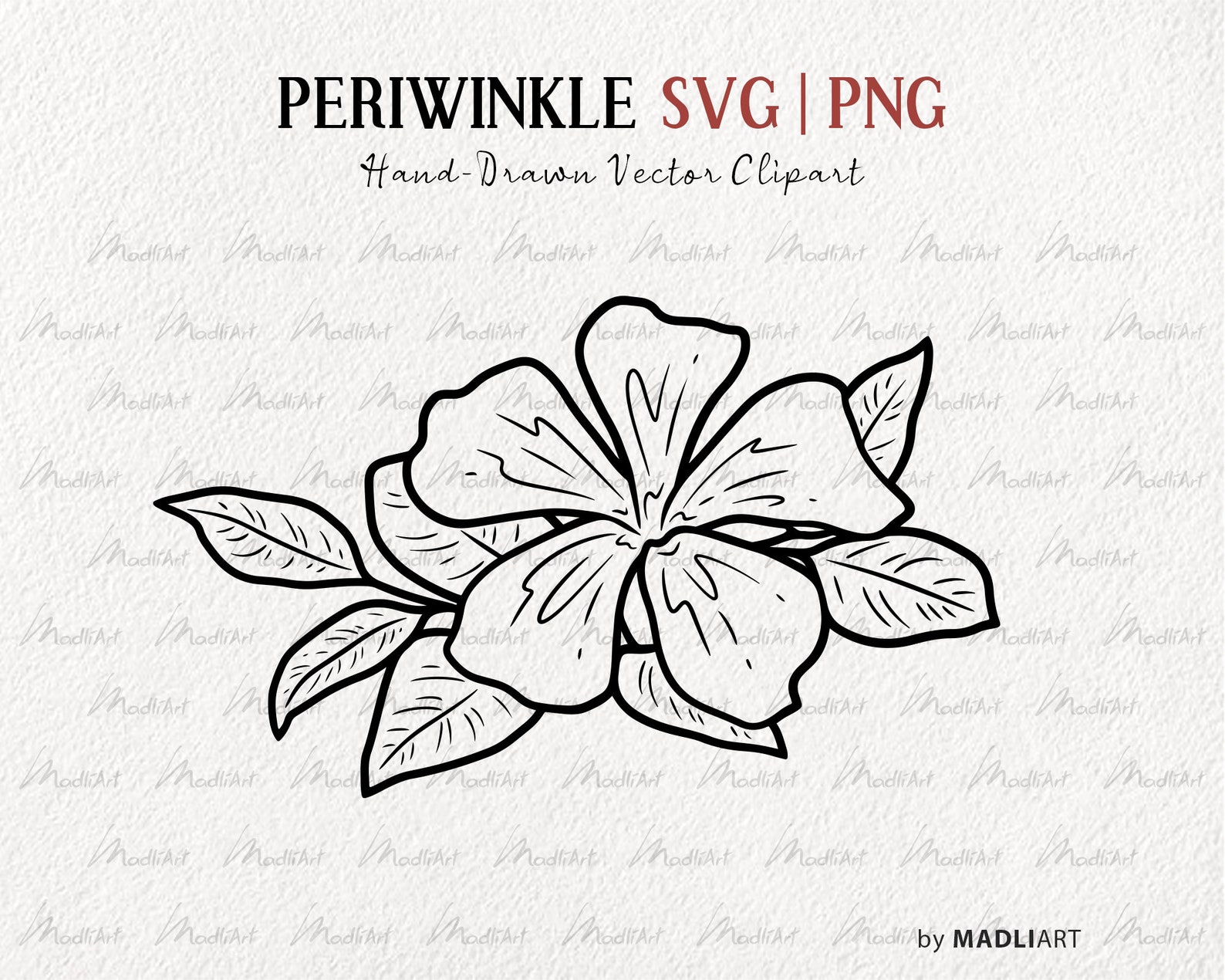 Periwinkle SVG Clipart. Spring Flower Blossom. Periwinkle Vector ...