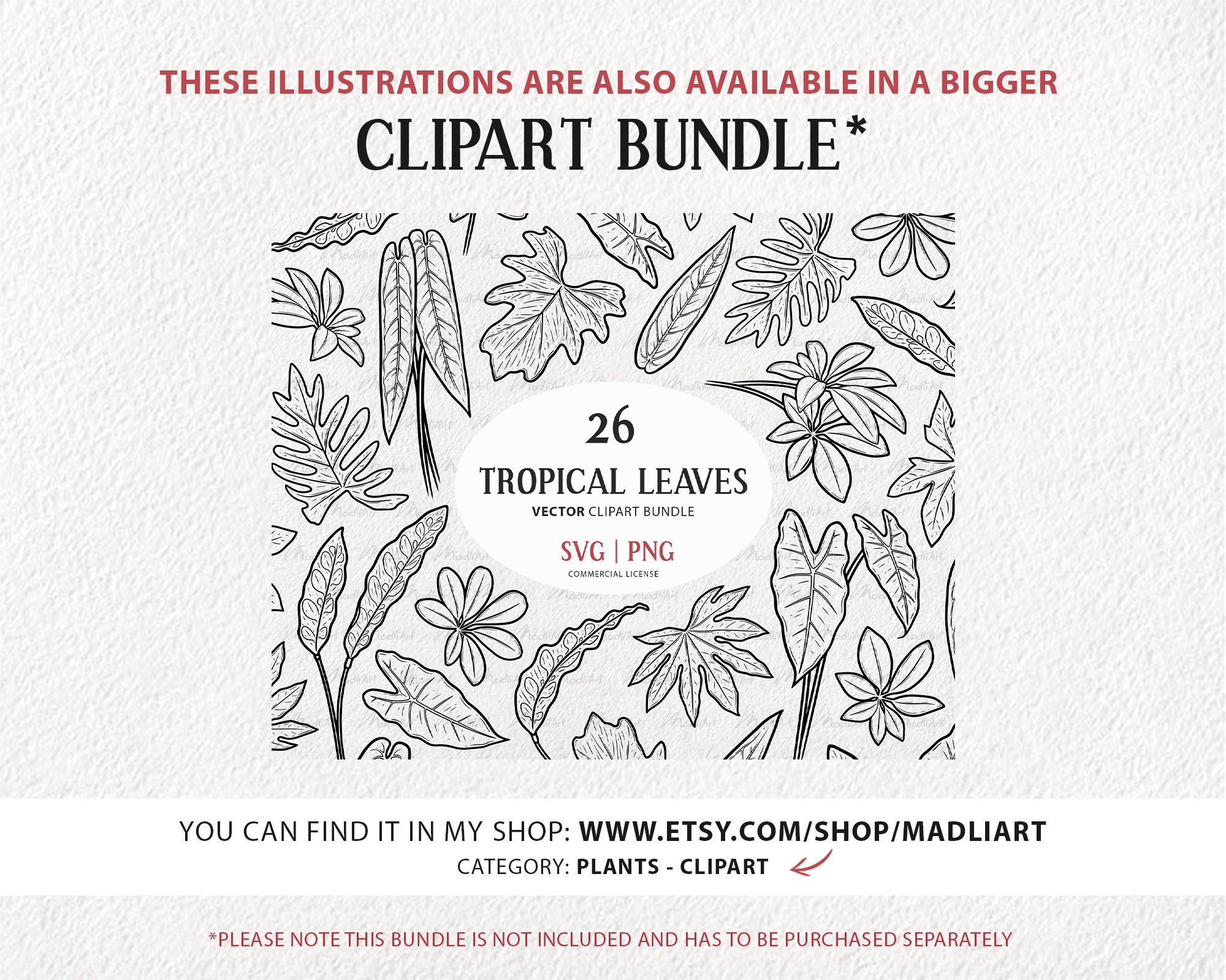 4 Queen Anthurium Leaves Clipart Set. Tropical Plant Vector Etsy