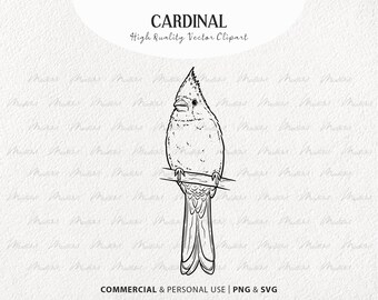 Paquete de imágenes prediseñadas vectoriales cardinales. Pequeños pájaros rojos. Conjunto de contorno de pájaros voladores. Arte lineal de pájaros. Dibujo de pájaros de invierno. Uso comercial SVG y PNG