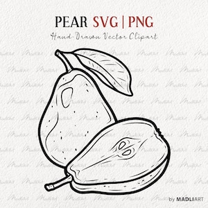 Clipart SVG di pera. Arte vettoriale di pera. Illustrazione di un mazzo di pere, foglie, frutta estiva. Disegno di contorno di pera. File PNG e SVG