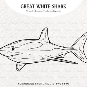Great White Shark SVG Clipart. Shark Vector Line Drawing. Ocean Animal Line Art. Marine Mammal Stamp. Commercial PNG & SVG