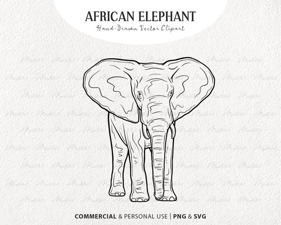 Free Simple Elephant Outline, Download Free Simple Elephant Outline png  images, Free ClipArts on Clipart Library