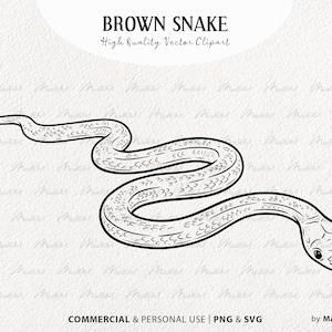 Bruine slang SVG clipart. Slang vectortekening. Cobra tattoo-ontwerp. Viper slang lijntekeningen. Reptielenoverzichtafbeeldingen. PNG en SVG