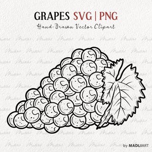 May include: Black and white line drawing of a bunch of grapes with a leaf.  GRAPES SVG | PNG Hand-Drawn Vector Clipart by MADLIART