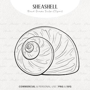 Seashell SVG Clipart. Ocean Themed Vector Line Drawing. Nautical Ocean Decor. Beach Sea Shell Art Stamp. Digital Download SVG, PNG