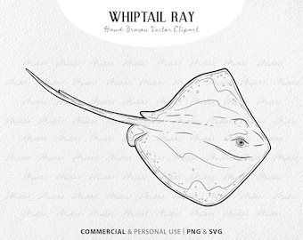 May include: A black and white line drawing of a whiptail ray, a type of fish with a flat body and a long, whip-like tail. The drawing is detailed and shows the ray's distinctive features, including its eyes, mouth, and gills.