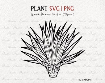 Leafy Plant SVG Clipart. Vector House Plant Line Drawing. Potted Plant Outline Illustration. Minimal Plant Art. PNG & SVG Art