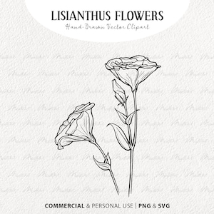 Conjunto de clipart SVG de flor de Lisianthus. 2 Contornos Rose Svg. Desenho de linha vetorial de flores silvestres de primavera. Arte Botânica. Uso comercial SVG e PNG