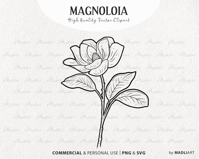 Magnolia SVG Clipart. Magnolia Blossom Vector Illustration. Magnolia Tattoo Stamp. Botanical Magnolia Floral Outline. PNG & SVG image 1