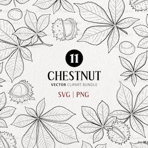 Pacchetto clipart castagna. 11 elementi autunnali vettoriali. Illustrazioni al tratto di foglie autunnali. Arte vegetale minima. PNG e SVG con licenza commerciale