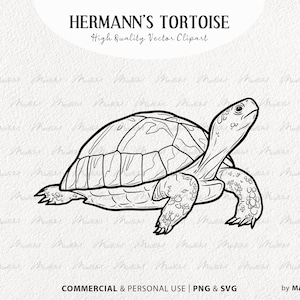 Hermann Schildkröte SVG Clipart. Schildkröten Vektor Illustration. Niedliche Schildkröten Outline Art. Reptil Linien Zeichnung. Kommerzielle SVG, PNG