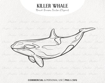 Clipart SVG orque orque. Dessin vectoriel d'épaulard. Dessin au trait animal marin. Dessin au trait de mammifère marin. PNG et SVG commerciaux