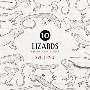 10 Lizard SVG Clipart Bundle. Reptile vector drawings. Basilisk, Skink Iguana Line Art. Reptile Outline Graphics. Commercial PNG & SVG