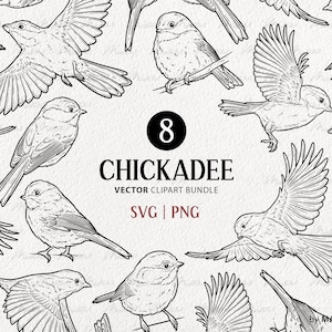 Chickadee SVG Clipart-bundel. Kleine mus vector kunst. Winter vogel lijntekening. Kleine vliegende vogels overzicht Set. Commercieel gebruik SVG & PNG