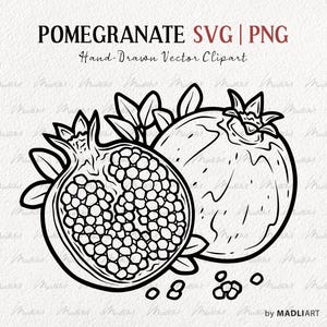 Pomegranate SVG Clipart. Pomegranate Vector Line Drawing. Pomegranate Tropical Fruit Outline. Pomegranate Seeds, Leaves. PNG & SVG files