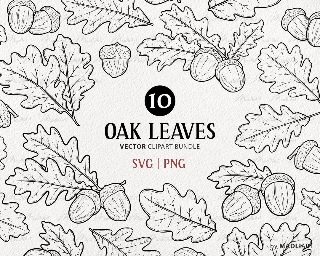 Oak Leaves Clipart Bundle. 10 Vector Botanical Elements. Fall Line