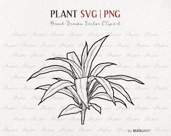 Leafy Plant SVG Clipart. Vector House Plant Line Drawing. Potted Plant Outline Illustration. Minimal Plant Art. PNG & SVG Art