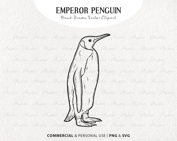 Emperor Penguin SVG Clipart. Christmas Penguin Vector Artwork Set