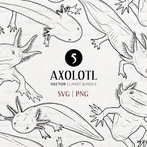 以下が含まれることがあります： アホロートルをモチーフにした白黒の線画5点セット。アホロートルはリアルなスタイルで描かれており、さまざまなポーズをとっています。図面には「AXOLOTL VECTOR CLIPART BUNDLE SVG | PNG」とラベル付けされています。