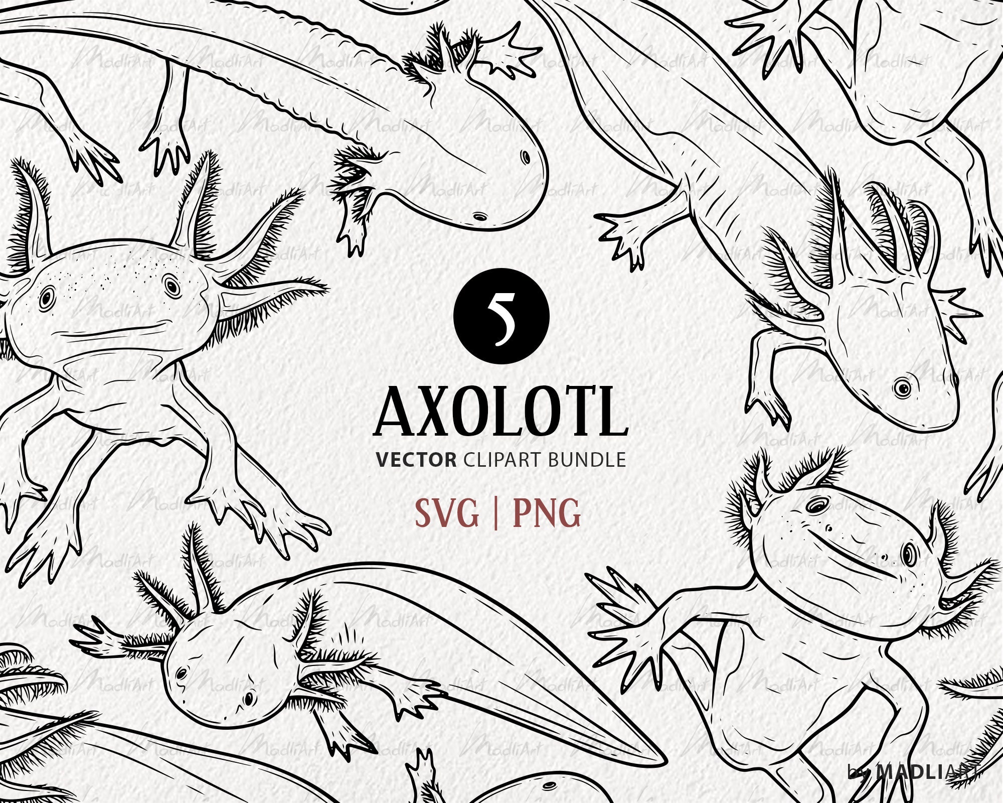 Girl Axolotl Birthday Party Favor Tags, Axolotl Thank You Tags