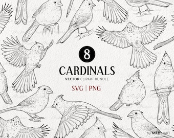 Paquete de imágenes prediseñadas vectoriales cardinales. Pequeños pájaros rojos. Conjunto de contorno de pájaros voladores. Arte lineal de pájaros. Dibujo de pájaros de invierno. Uso comercial SVG y PNG