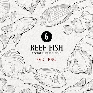 Korallenriff Fische Clipart Bundle. Ozean Vektorgrafiken Set. Clownfisch, Blue Tang, Maurischer Idol, Surgeonfish.Commercial Use SVG und PNG Kunst.