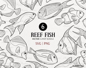 Paquete de imágenes prediseñadas de peces de arrecife de coral. Conjunto de ilustraciones vectoriales oceánicas. Pez payaso, Tang azul, Ídolo morisco, Pez cirujano. Uso comercial Arte SVG y PNG.