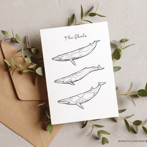 Puede incluir: Un dibujo en blanco y negro de tres ballenas en una tarjeta blanca con el texto "The Whale" en la parte superior.