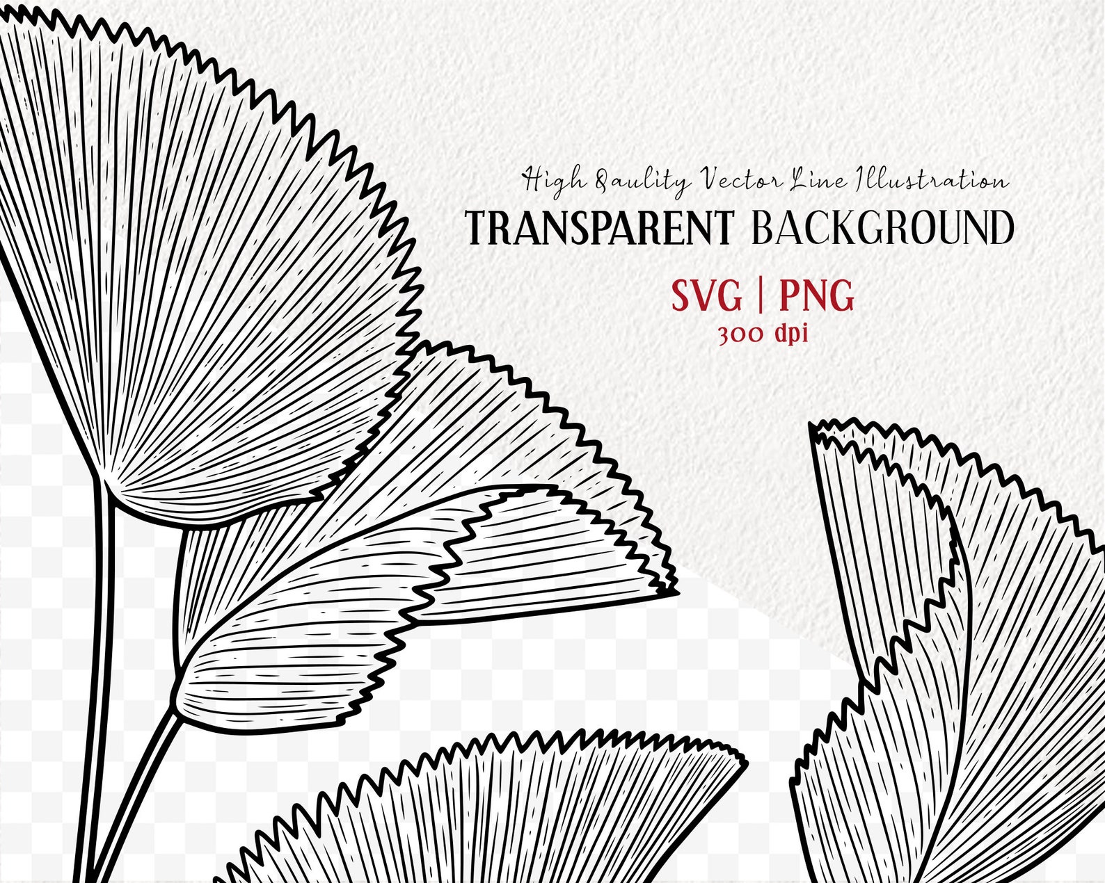 Svg Ruffle Outline 3 Ruffled Fan Palm Leaves Clipart Set. Jungle Palm Tree Vector Art ...