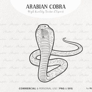 Arabische Cobra SVG Clipart. Slang vectortekening. Cobra tattoo-ontwerp. Spuwende slang lijntekeningen. Reptielenoverzichtafbeeldingen. PNG- en SVG-kunst
