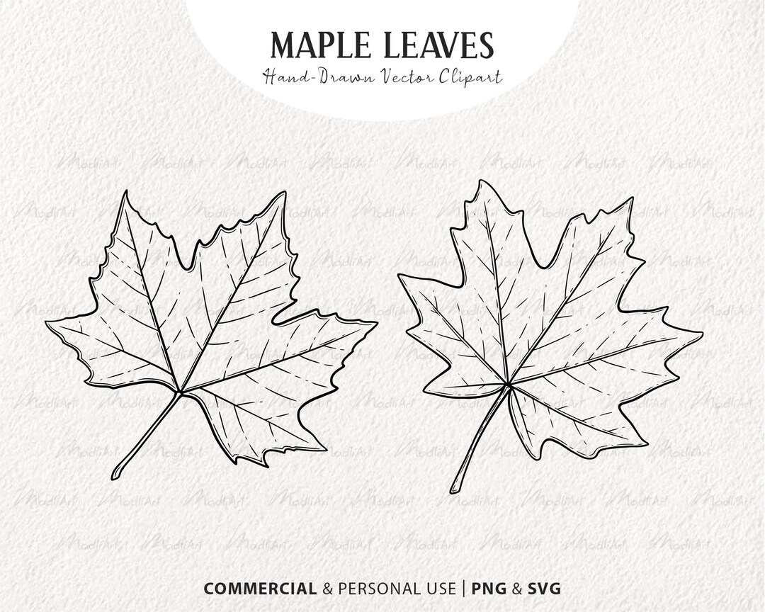 Maple Leaves SVG Clipart Set. 2 Vector Fall Leaf Elements. Autumn Leaf ...
