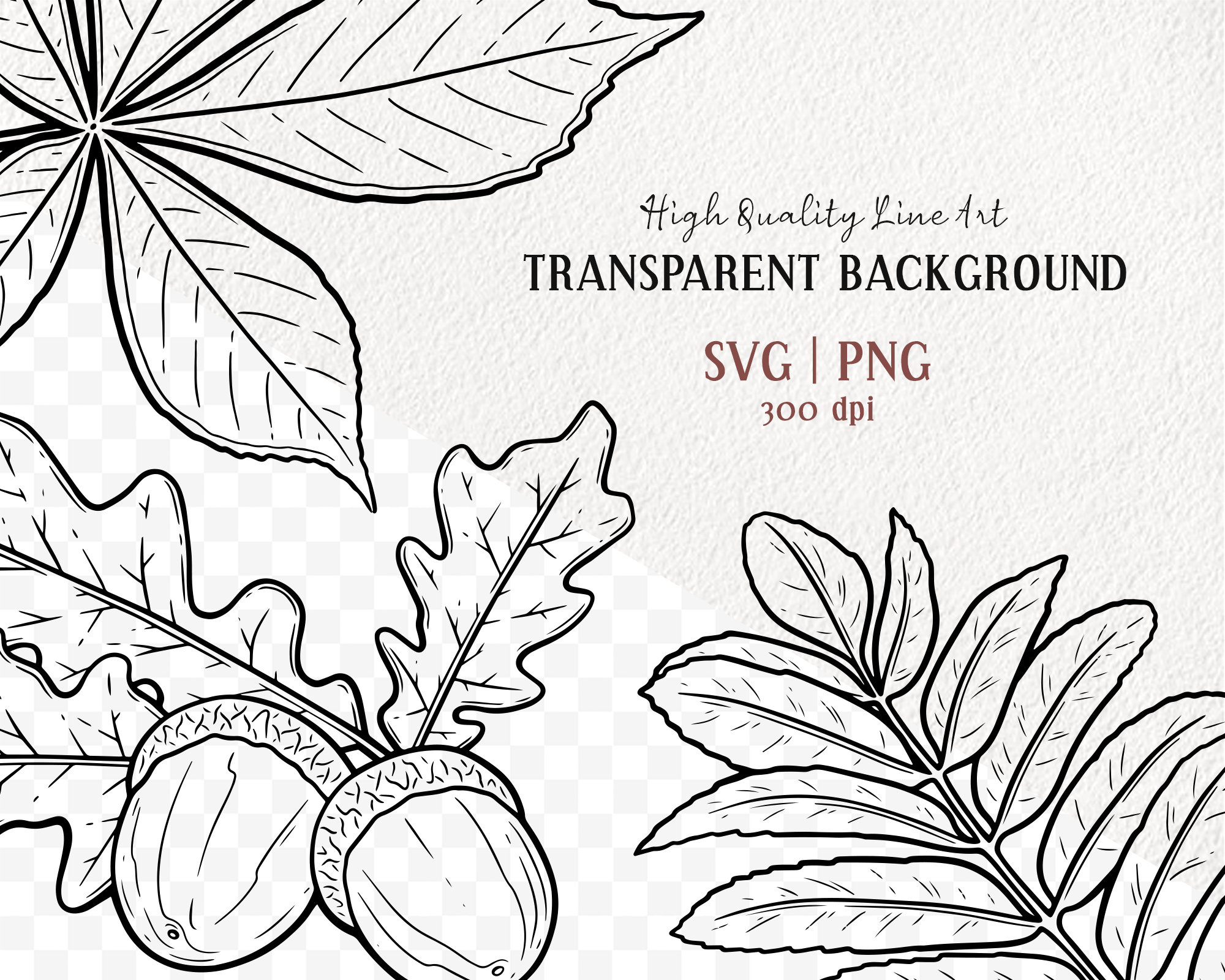 Fall Leaves SVG Clipart Bundle. 20 Vector Autumn Outlines. Oak, Maple ...