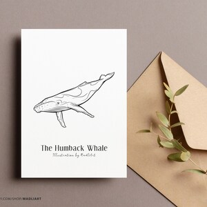 Puede incluir: Un dibujo en blanco y negro de una ballena jorobada. El texto "The Humpback Whale" y "Illustration by Madliart" est&aacute; debajo de la ballena.