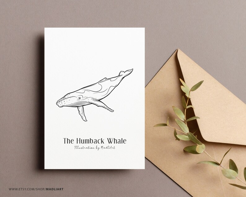 Puede incluir: Un dibujo en blanco y negro de una ballena jorobada. El texto "The Humpback Whale" y "Illustration by Madliart" est&aacute; debajo de la ballena.
