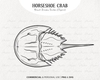 Imágenes prediseñadas SVG de cangrejo herradura. Dibujo de líneas vectoriales de criaturas marinas de caparazón duro. Estampado de animales oceánicos. Sello de cangrejo de mar. Comercial PNG y SVG