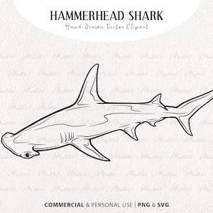 Hammerhead Shark SVG Clipart. Shark Vector Line Drawing. Ocean Animal Line Art. Marine Mammal Stamp. Commercial PNG & SVG