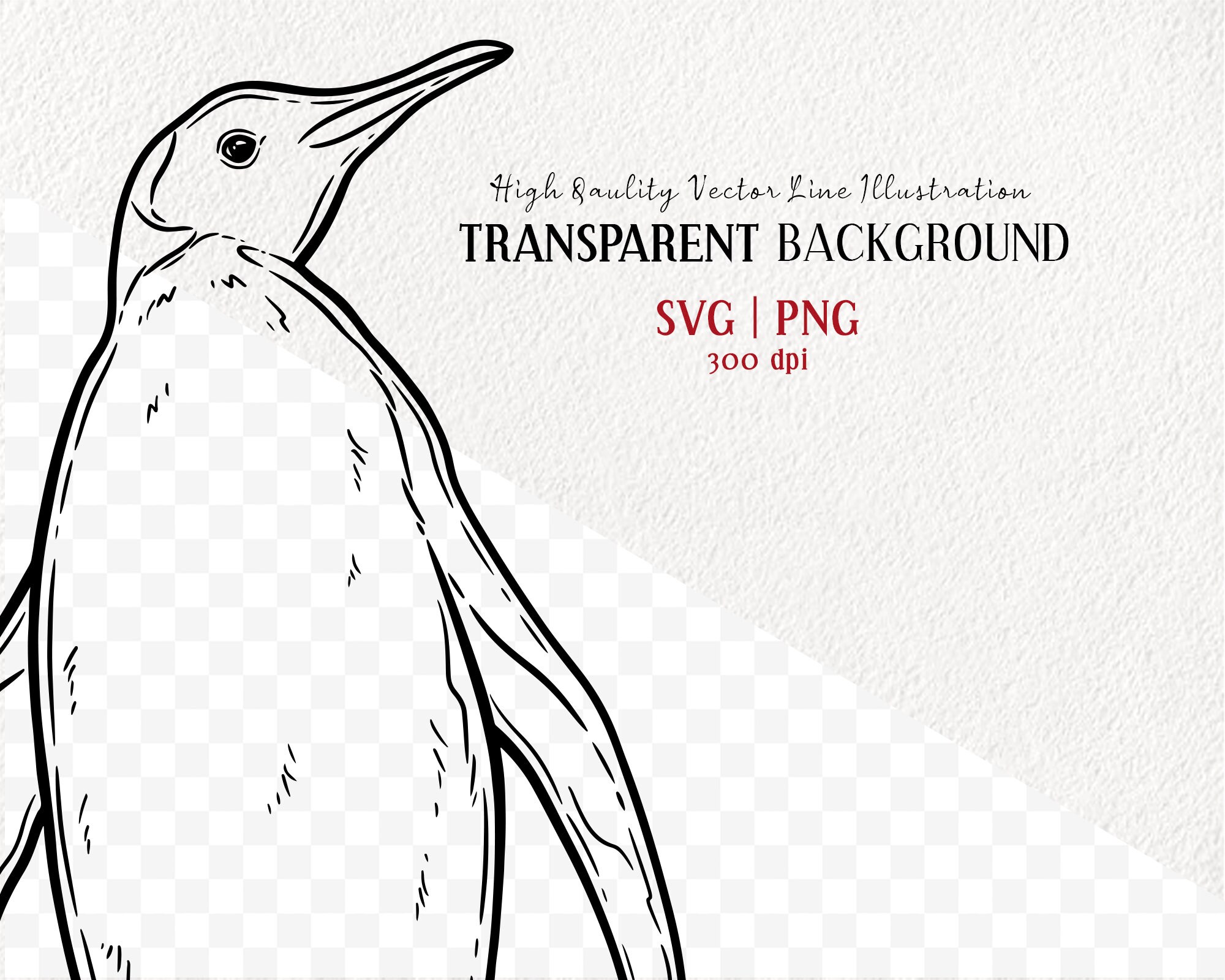 penguin clothing line