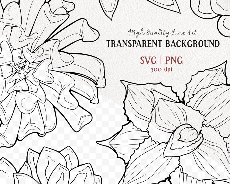 Succulent SVG Bundle. 16 Cactus SVG Illustrations. Succulent - Etsy