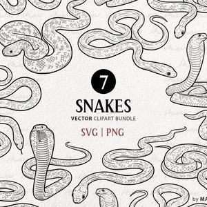 7 Slangen SVG Clipart-bundel. Cobra vectortekeningen. Ratelslang tattoo ontwerp. Slangenkop Line Art. Reptielen overzichtsafbeeldingen. PNG en SVG