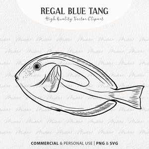 Regal Blue Tang Vector Clipart. Coral Reef Fish SVG Drawing. Ocean Fish Line Art. Small Tropical Fish Artwork. PNG & SVG Commercial License