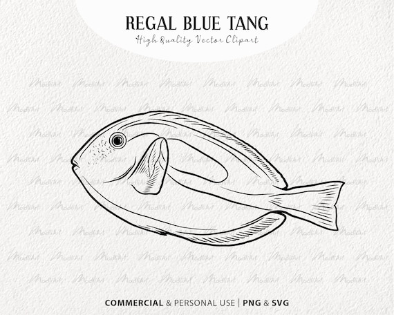 Regal Blue Tang Vector Clipart. Coral Reef Fish SVG Drawing. Ocean